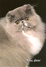 16_Jubileum I Got Theblu's of Catillak